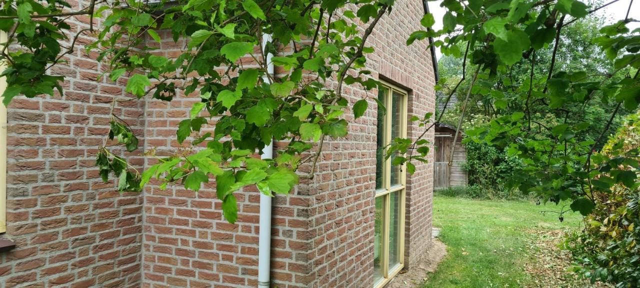 Forestview 'Queenstown' 6 Pers Very Child-Friendly By Kawatea Cottages (Adults Only) Ewijk 外观 照片