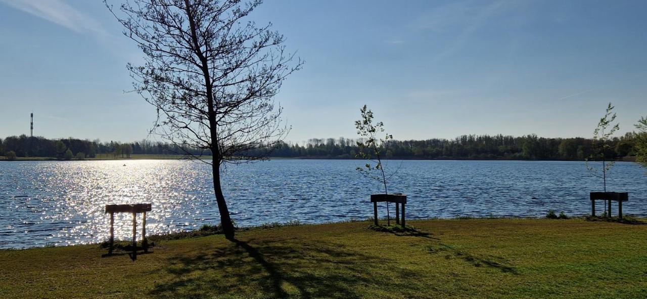 Forestview 'Queenstown' 6 Pers Very Child-Friendly By Kawatea Cottages (Adults Only) Ewijk 外观 照片